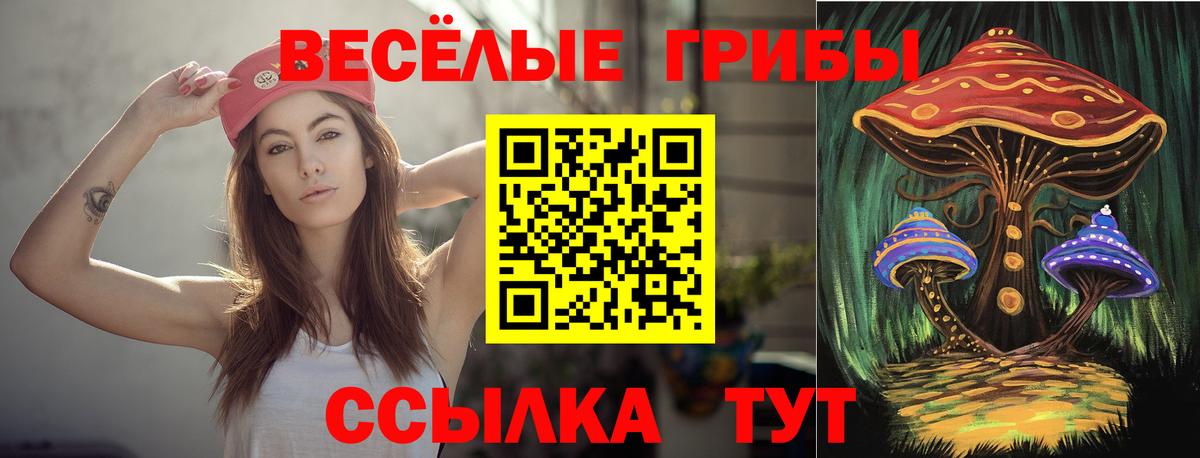 Псилоцибиновые грибы Psilocybine cubensis  Вход с VPN  Галлюциногенные грибы прущие грибы  Лесозаводск 