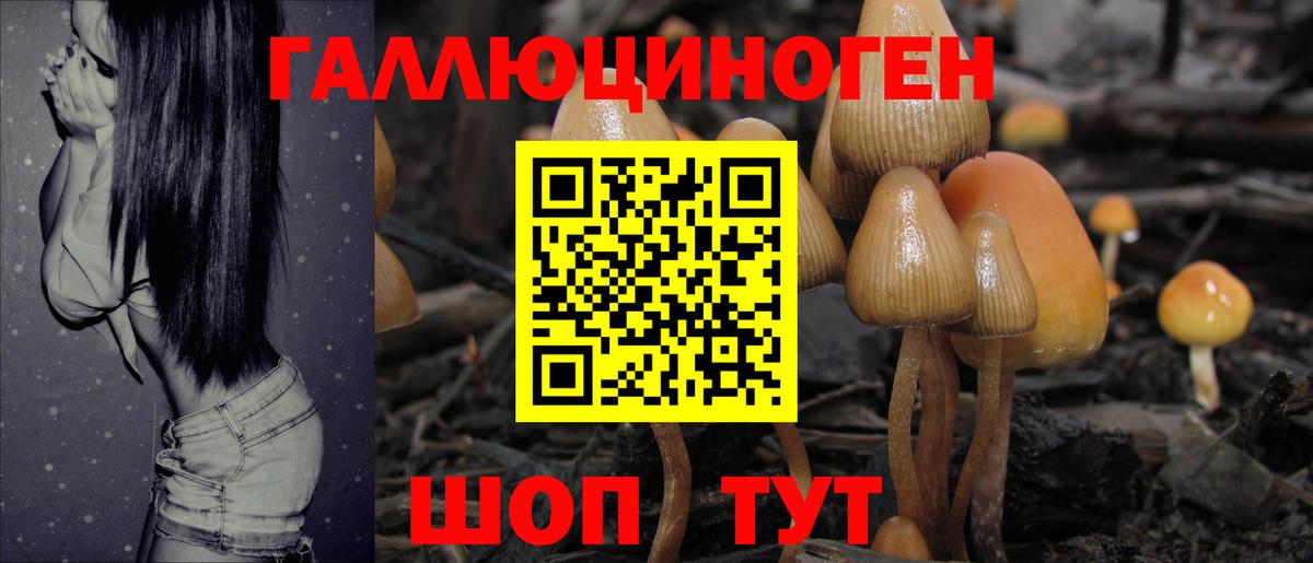Псилоцибиновые грибы Cubensis Лесозаводск